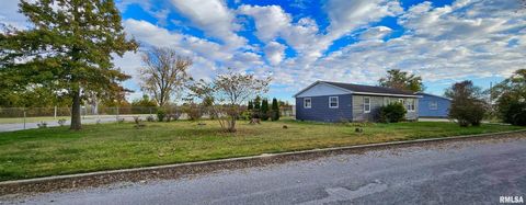 Tiny photo for 100 IROQUOIS Street, Mcclure, IL 62957 (MLS # EB460409)