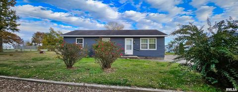 Tiny photo for 100 IROQUOIS Street, Mcclure, IL 62957 (MLS # EB460409)