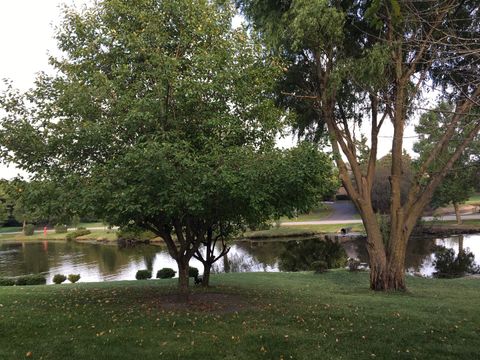 Tiny photo for South Barrington, IL 60010 (MLS # 12061095)