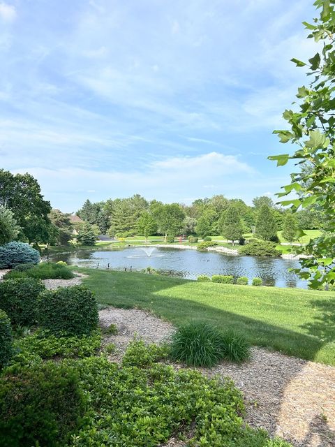 Tiny photo for South Barrington, IL 60010 (MLS # 12061095)