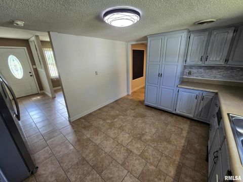 Tiny photo for 108 MOCKINGBIRD Lane, Woodlawn, IL 62898 (MLS # EB459711)