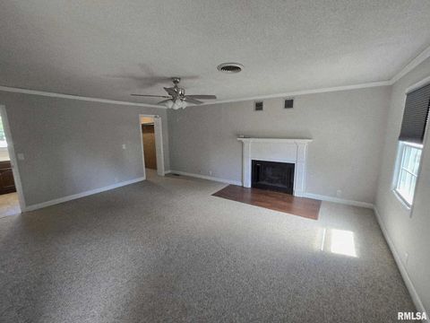 Tiny photo for 108 MOCKINGBIRD Lane, Woodlawn, IL 62898 (MLS # EB459711)