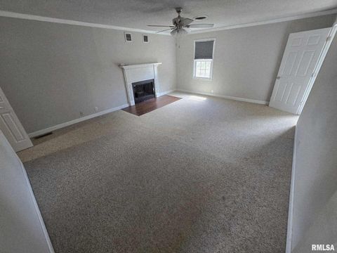 Tiny photo for 108 MOCKINGBIRD Lane, Woodlawn, IL 62898 (MLS # EB459711)