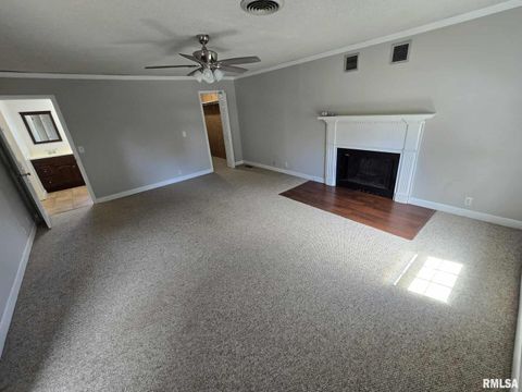 Tiny photo for 108 MOCKINGBIRD Lane, Woodlawn, IL 62898 (MLS # EB459711)