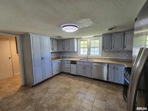 Tiny photo for 108 MOCKINGBIRD Lane, Woodlawn, IL 62898 (MLS # EB459711)