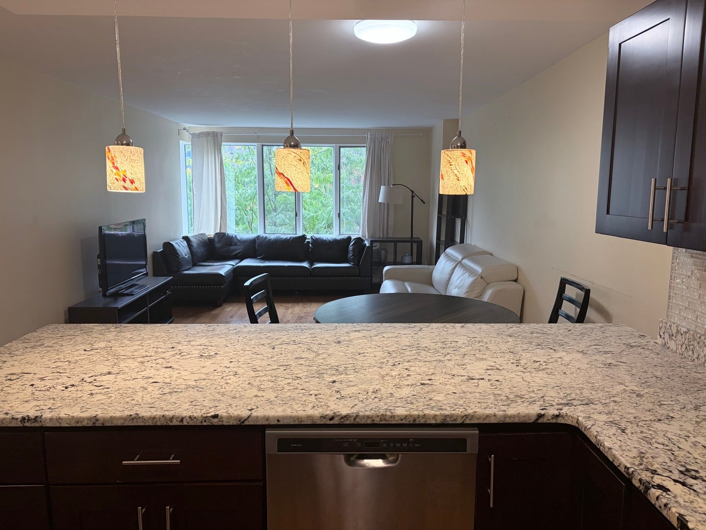 801 S PLYMOUTH Court 306