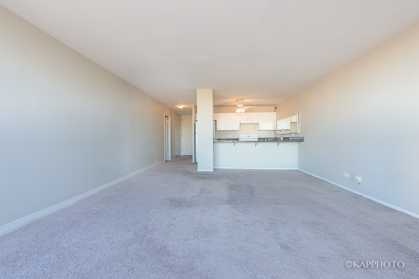 1540 N La Salle Drive 706