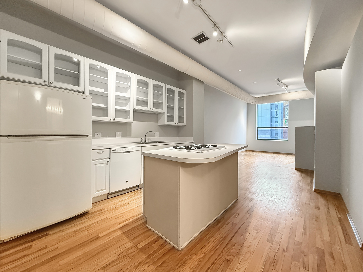 910 S Michigan Avenue 1009