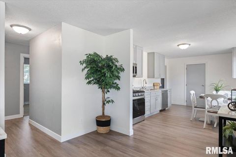 Tiny photo for 3518 W GARFIELD Street, Davenport, IA 52804 (MLS # 12571320)