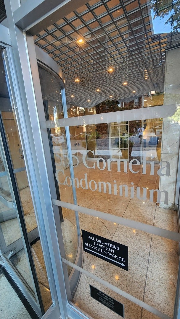 555 W Cornelia Avenue 1301 - Photo 3