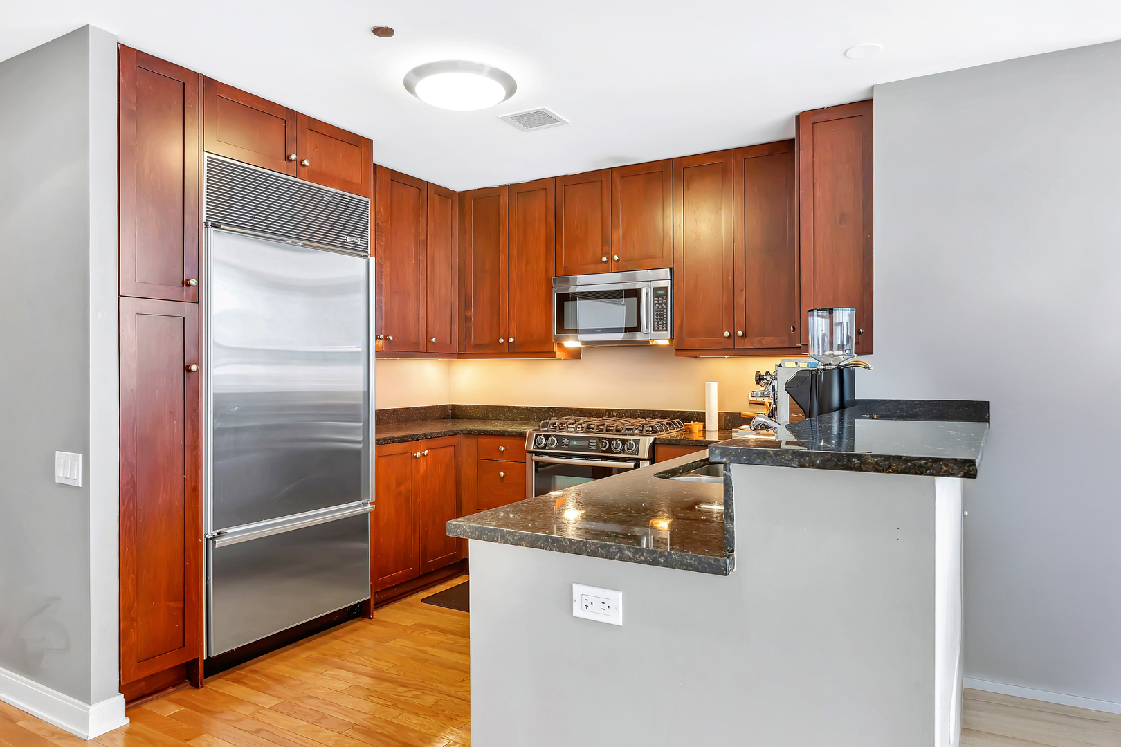60 E Monroe Street 2304