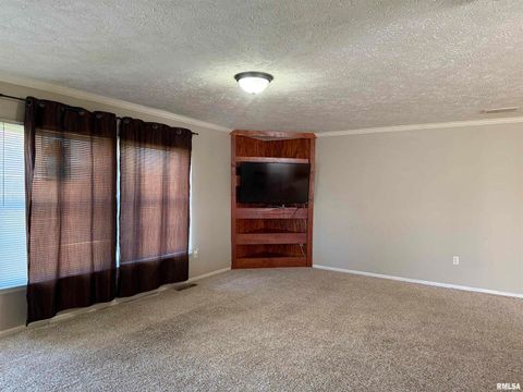 Tiny photo for 20001 Corinth Road, Pittsburg, IL 62974 (MLS # EB460384)