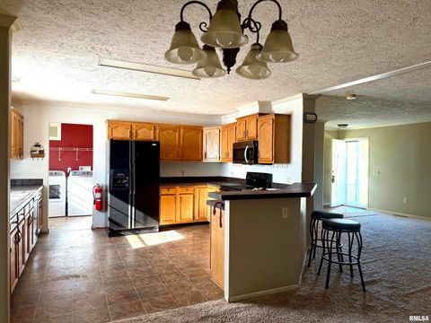 Tiny photo for 20001 Corinth Road, Pittsburg, IL 62974 (MLS # EB460384)