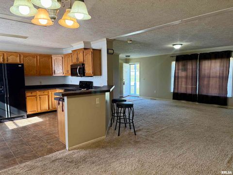 Tiny photo for 20001 Corinth Road, Pittsburg, IL 62974 (MLS # EB460384)