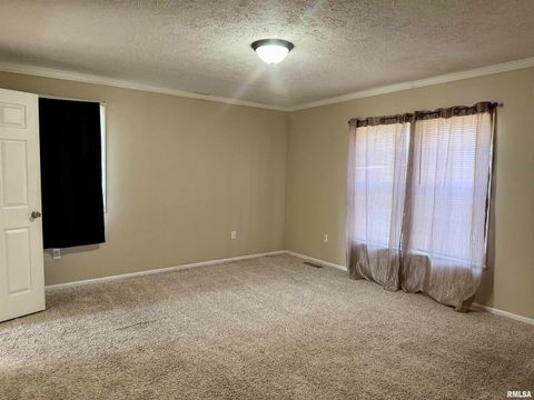 Tiny photo for 20001 Corinth Road, Pittsburg, IL 62974 (MLS # EB460384)