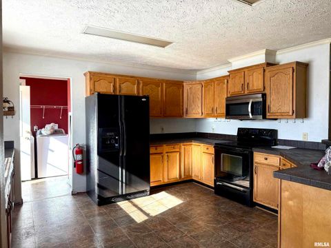 Tiny photo for 20001 Corinth Road, Pittsburg, IL 62974 (MLS # EB460384)