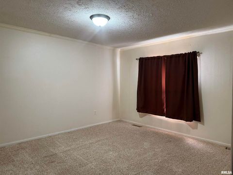 Tiny photo for 20001 Corinth Road, Pittsburg, IL 62974 (MLS # EB460384)