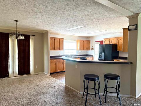 Tiny photo for 20001 Corinth Road, Pittsburg, IL 62974 (MLS # EB460384)