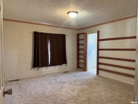 Tiny photo for 20001 Corinth Road, Pittsburg, IL 62974 (MLS # EB460384)