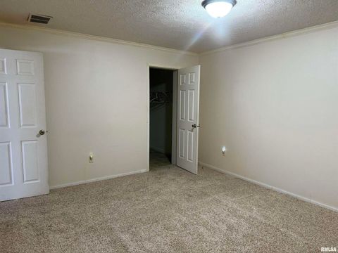 Tiny photo for 20001 Corinth Road, Pittsburg, IL 62974 (MLS # EB460384)