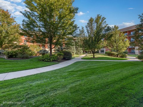 Tiny photo for 855 E 22nd Street #217, Lombard, IL 60148 (MLS # 12546369)