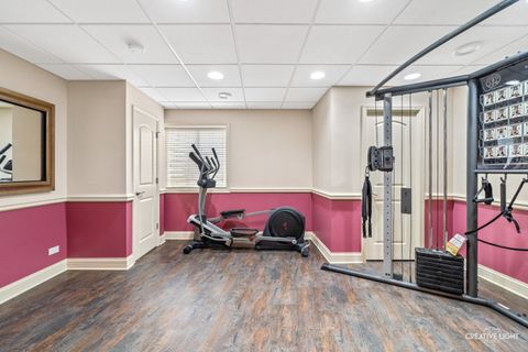 Tiny photo for 1887 Snead Street, Bolingbrook, IL 60490 (MLS # 12587311)