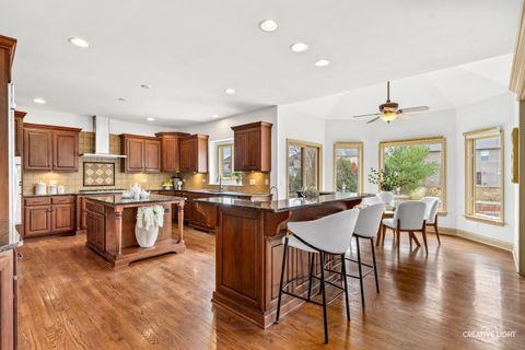 Tiny photo for 1887 Snead Street, Bolingbrook, IL 60490 (MLS # 12587311)