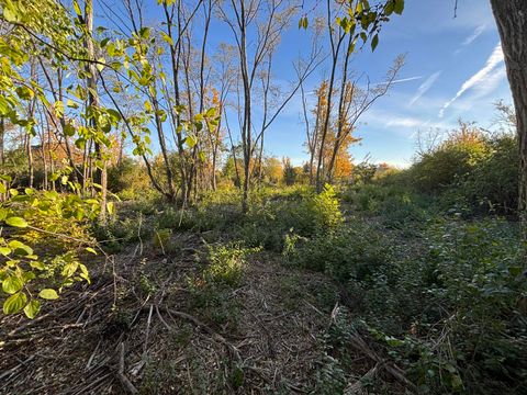 21647 Owens Road Mokena IL 60448