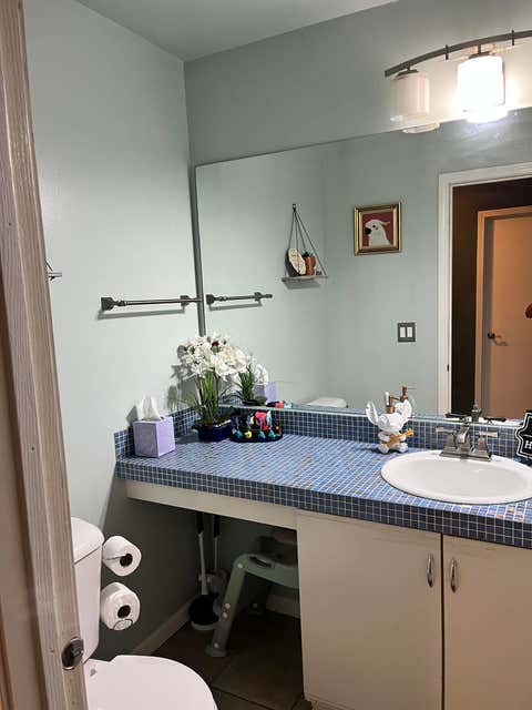 Tiny photo for 738 Shady Oaks Court, Elgin, IL 60120 (MLS # 12740583)