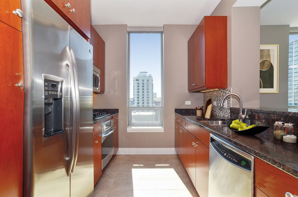 600 N Lake Shore Drive 3909