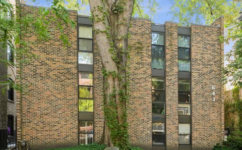643 W Barry Avenue 1A Chicago IL 60657