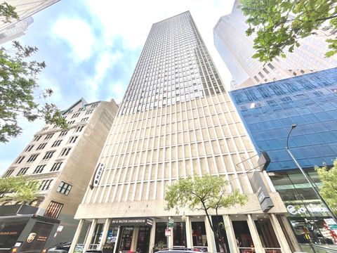 100 E Walton Place 14A Chicago IL 60611
