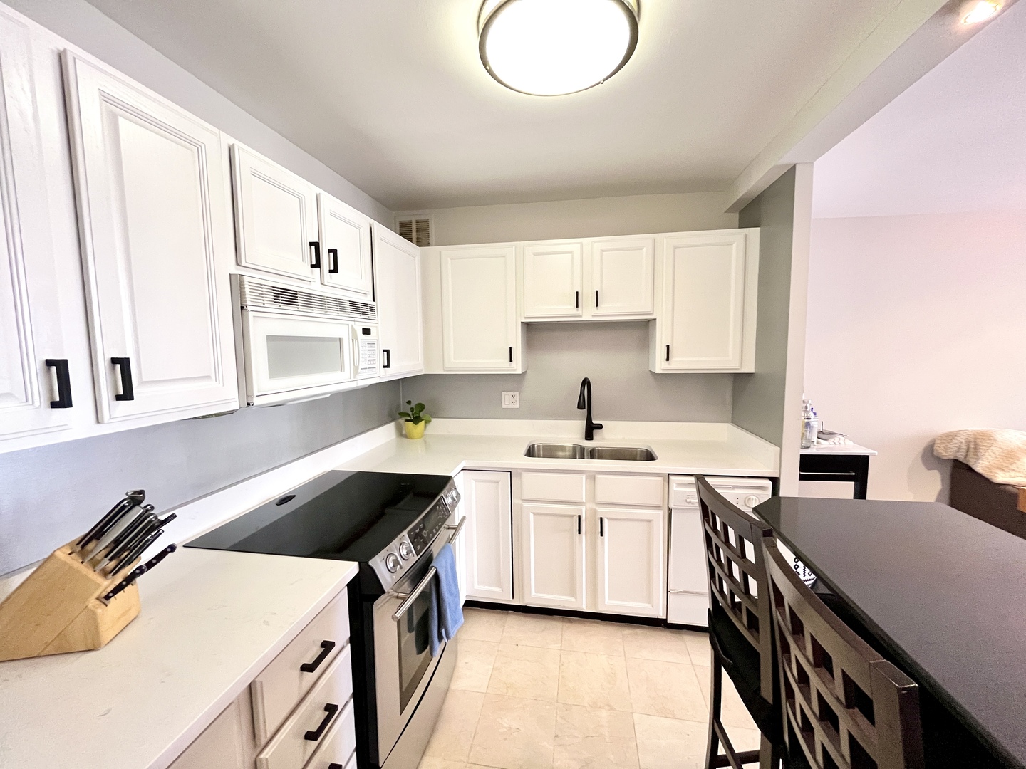 100 E Walton Place 14A