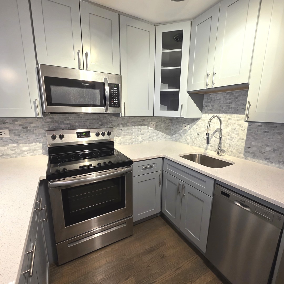 420 W Aldine Avenue 501