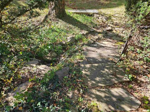 Tiny photo for 46 HILLCREST Drive, Carbondale, IL 62901 (MLS # EB460211)