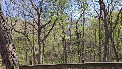Tiny photo for 2580 E 450th Road, Oglesby, IL 61348 (MLS # 12676684)
