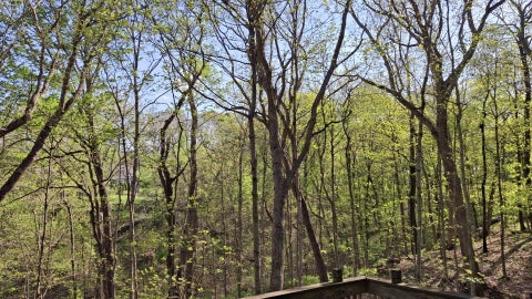 Tiny photo for 2580 E 450th Road, Oglesby, IL 61348 (MLS # 12676684)