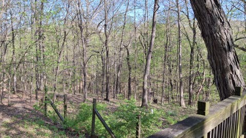 Tiny photo for 2580 E 450th Road, Oglesby, IL 61348 (MLS # 12676684)