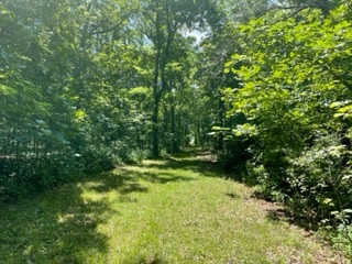 3501 Beckwith Lane