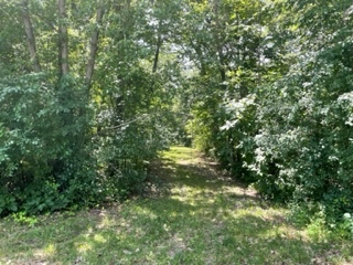 3501 Beckwith Lane