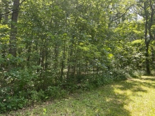 3501 Beckwith Lane