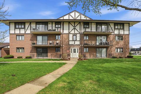 Photo of 11042 S Theresa Circle #1C, Palos Hills, IL 60465 (MLS # 12615245)
