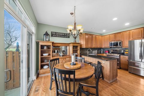 Tiny photo for 3912 Pathfinder Lane, Joliet, IL 60435 (MLS # 12558520)