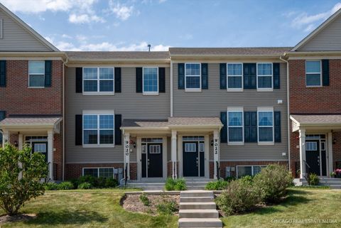 Photo of 9020 Dolby Street, Huntley, IL 60142 (MLS # 12656200)