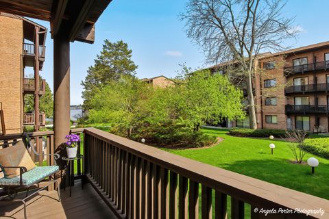 Tiny photo for 460 N Main Street #N206A, Wauconda, IL 60084 (MLS # 12625420)
