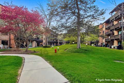 Tiny photo for 460 N Main Street #N206A, Wauconda, IL 60084 (MLS # 12625420)