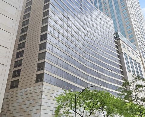 110 E Delaware Place 1204 Chicago IL 60611