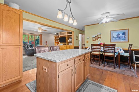 Tiny photo for 13109 83RD Avenue, Blue Grass, IA 52726 (MLS # QC4267534)