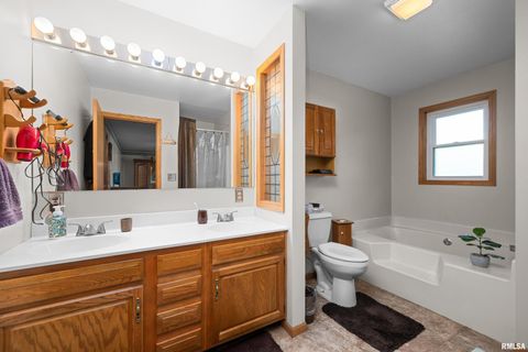 Tiny photo for 13109 83RD Avenue, Blue Grass, IA 52726 (MLS # QC4267534)