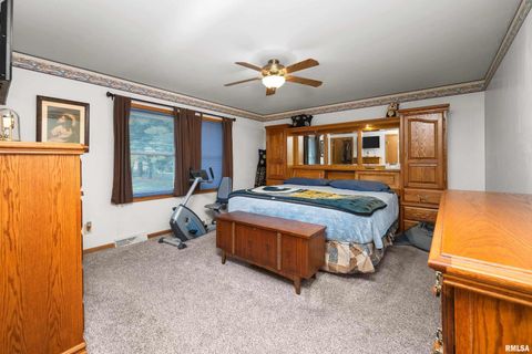 Tiny photo for 13109 83RD Avenue, Blue Grass, IA 52726 (MLS # QC4267534)